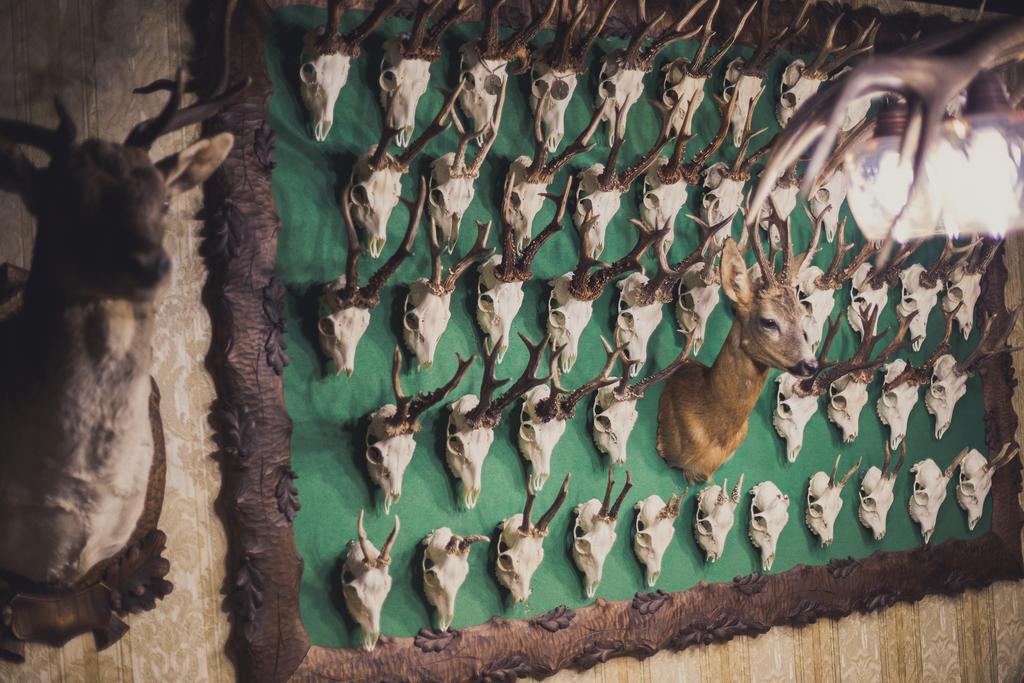 Penzion Altmayer Banská Štiavnica エクステリア 写真